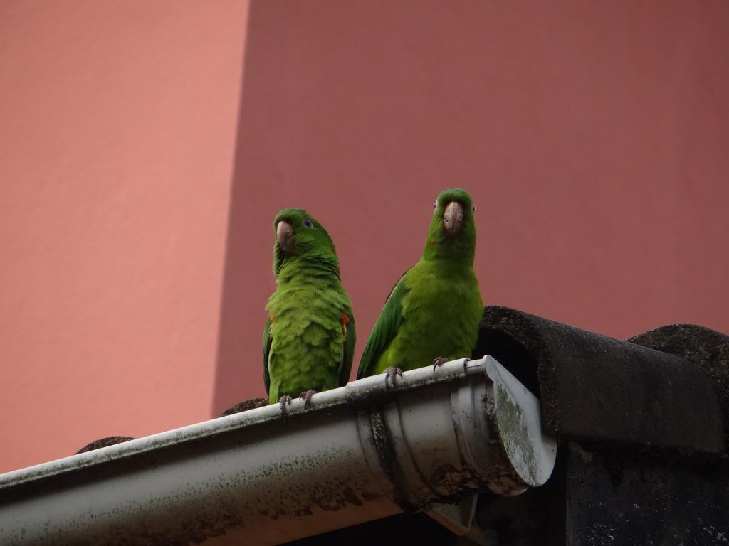 Pousada Da Mantiqueira Visconde De Maua Exterior foto